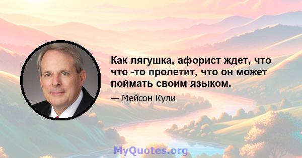 Как лягушка, афорист ждет, что что -то пролетит, что он может поймать своим языком.