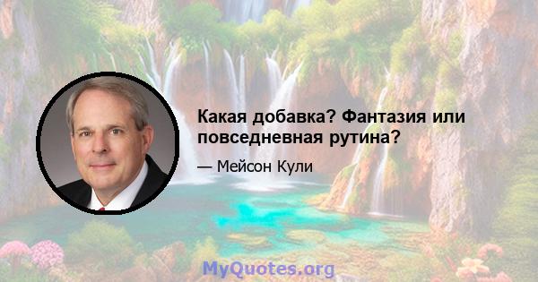 Какая добавка? Фантазия или повседневная рутина?