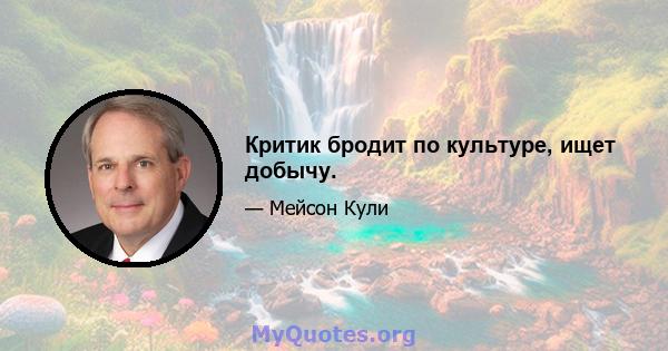 Критик бродит по культуре, ищет добычу.