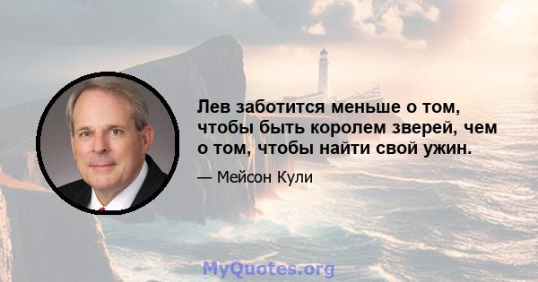 Лев заботится меньше о том, чтобы быть королем зверей, чем о том, чтобы найти свой ужин.