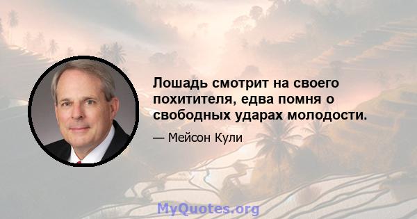 Лошадь смотрит на своего похитителя, едва помня о свободных ударах молодости.