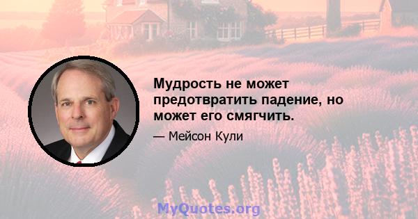 Мудрость не может предотвратить падение, но может его смягчить.