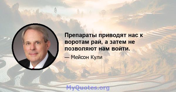 Препараты приводят нас к воротам рай, а затем не позволяют нам войти.