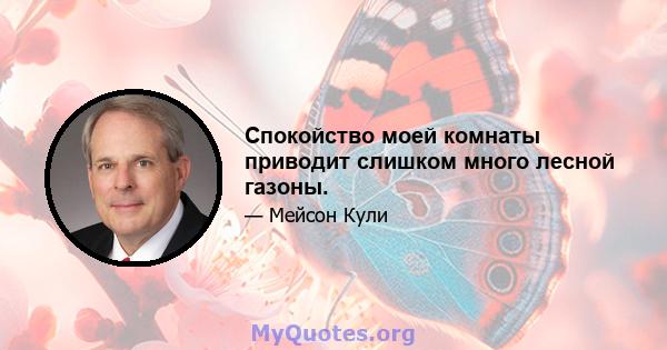 Спокойство моей комнаты приводит слишком много лесной газоны.