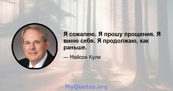 Я сожалею. Я прошу прощения. Я виню себя. Я продолжаю, как раньше.