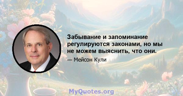 Забывание и запоминание регулируются законами, но мы не можем выяснить, что они.