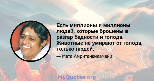 Есть миллионы и миллионы людей, которые брошены в разгар бедности и голода. Животные не умирают от голода, только людей.