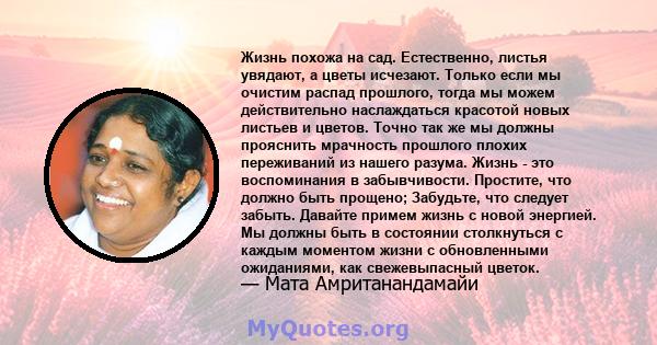 Жизнь похожа на сад. Естественно, листья увядают, а цветы исчезают. Только если мы очистим распад прошлого, тогда мы можем действительно наслаждаться красотой новых листьев и цветов. Точно так же мы должны прояснить