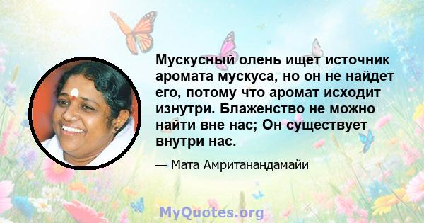 Мускусный олень ищет источник аромата мускуса, но он не найдет его, потому что аромат исходит изнутри. Блаженство не можно найти вне нас; Он существует внутри нас.