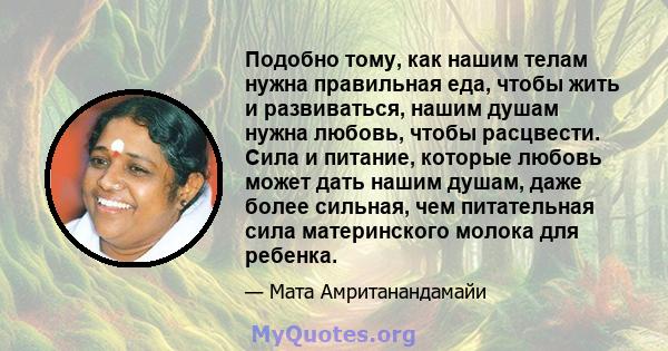 Подобно тому, как нашим телам нужна правильная еда, чтобы жить и развиваться, нашим душам нужна любовь, чтобы расцвести. Сила и питание, которые любовь может дать нашим душам, даже более сильная, чем питательная сила