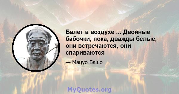 Балет в воздухе ... Двойные бабочки, пока, дважды белые, они встречаются, они спариваются