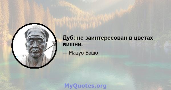 Дуб: не заинтересован в цветах вишни.