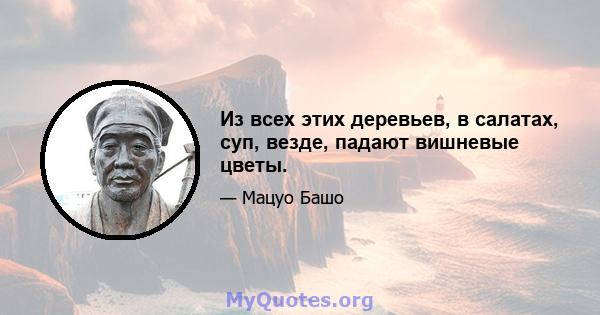 Из всех этих деревьев, в салатах, суп, везде, падают вишневые цветы.