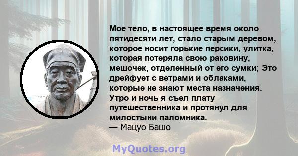 Мое тело, в настоящее время около пятидесяти лет, стало старым деревом, которое носит горькие персики, улитка, которая потеряла свою раковину, мешочек, отделенный от его сумки; Это дрейфует с ветрами и облаками, которые 