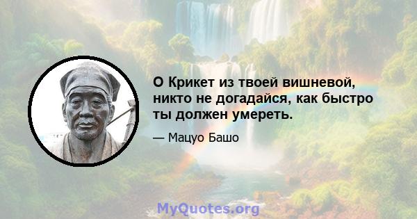 O Крикет из твоей вишневой, никто не догадайся, как быстро ты должен умереть.