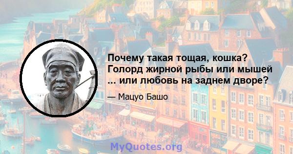 Почему такая тощая, кошка? Голорд жирной рыбы или мышей ... или любовь на заднем дворе?