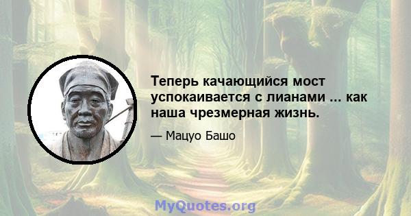 Теперь качающийся мост успокаивается с лианами ... как наша чрезмерная жизнь.