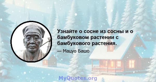 Узнайте о сосне из сосны и о бамбуковом растении с бамбукового растения.