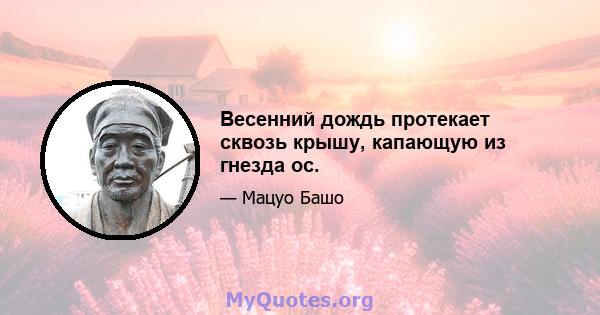 Весенний дождь протекает сквозь крышу, капающую из гнезда ос.