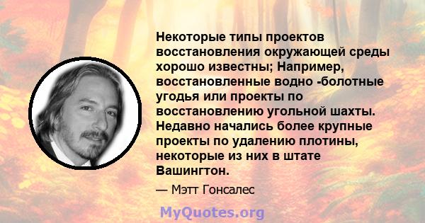 Некоторые типы проектов восстановления окружающей среды хорошо известны; Например, восстановленные водно -болотные угодья или проекты по восстановлению угольной шахты. Недавно начались более крупные проекты по удалению