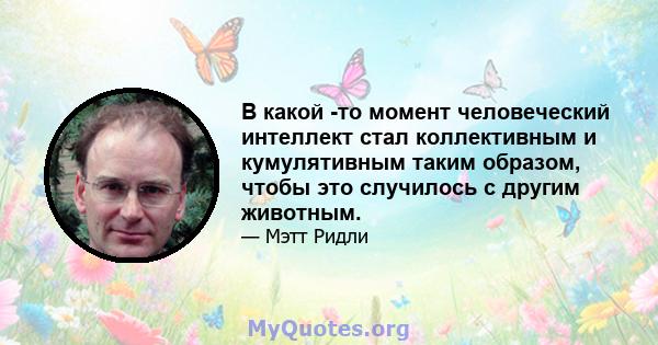 В какой -то момент человеческий интеллект стал коллективным и кумулятивным таким образом, чтобы это случилось с другим животным.