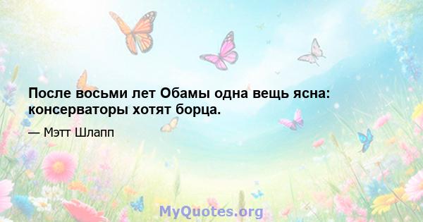 После восьми лет Обамы одна вещь ясна: консерваторы хотят борца.