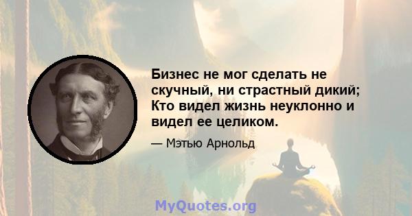 Бизнес не мог сделать не скучный, ни страстный дикий; Кто видел жизнь неуклонно и видел ее целиком.