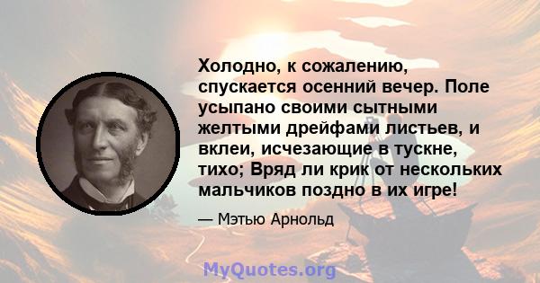 Холодно, к сожалению, спускается осенний вечер. Поле усыпано своими сытными желтыми дрейфами листьев, и вклеи, исчезающие в тускне, тихо; Вряд ли крик от нескольких мальчиков поздно в их игре!