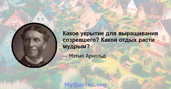 Какое укрытие для выращивания созревшего? Какой отдых расти мудрым?