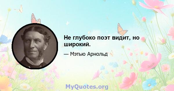 Не глубоко поэт видит, но широкий.