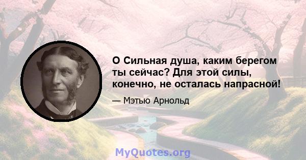 O Сильная душа, каким берегом ты сейчас? Для этой силы, конечно, не осталась напрасной!