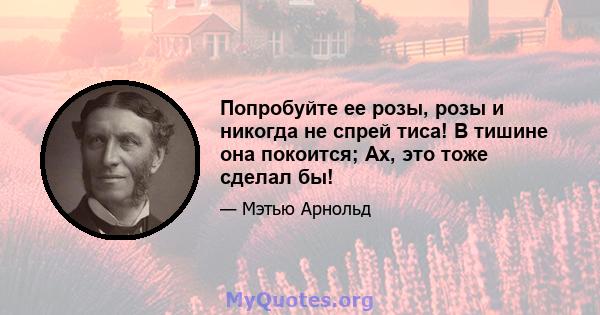 Попробуйте ее розы, розы и никогда не спрей тиса! В тишине она покоится; Ах, это тоже сделал бы!