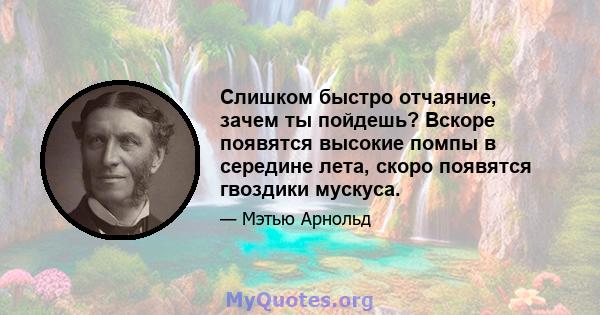 Слишком быстро отчаяние, зачем ты пойдешь? Вскоре появятся высокие помпы в середине лета, скоро появятся гвоздики мускуса.