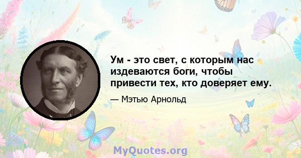 Ум - это свет, с которым нас издеваются боги, чтобы привести тех, кто доверяет ему.