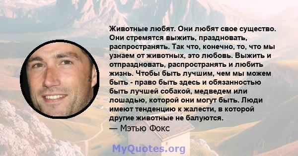 Животные любят. Они любят свое существо. Они стремятся выжить, праздновать, распространять. Так что, конечно, то, что мы узнаем от животных, это любовь. Выжить и отпраздновать, распространять и любить жизнь. Чтобы быть