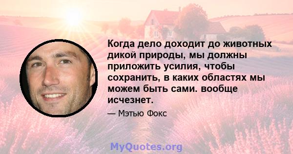 Когда дело доходит до животных дикой природы, мы должны приложить усилия, чтобы сохранить, в каких областях мы можем быть сами. вообще исчезнет.