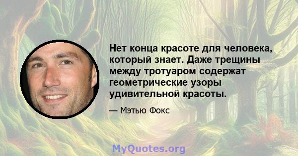 Нет конца красоте для человека, который знает. Даже трещины между тротуаром содержат геометрические узоры удивительной красоты.