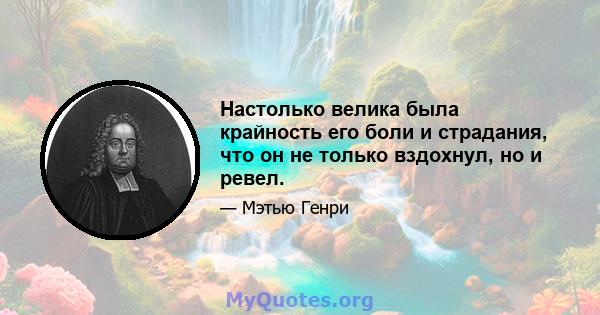 Настолько велика была крайность его боли и страдания, что он не только вздохнул, но и ревел.