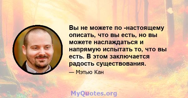 Вы не можете по -настоящему описать, что вы есть, но вы можете наслаждаться и напрямую испытать то, что вы есть. В этом заключается радость существования.