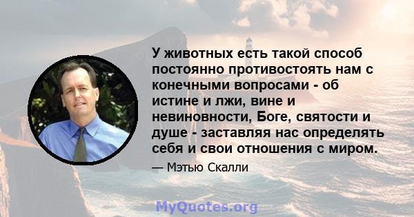 У животных есть такой способ постоянно противостоять нам с конечными вопросами - об истине и лжи, вине и невиновности, Боге, святости и душе - заставляя нас определять себя и свои отношения с миром.