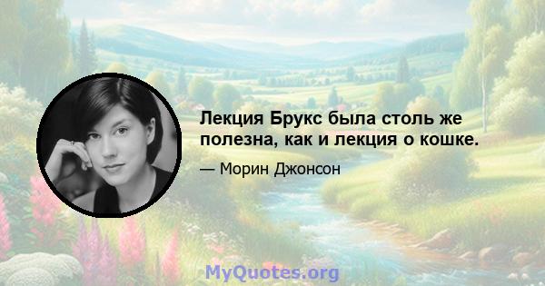 Лекция Брукс была столь же полезна, как и лекция о кошке.