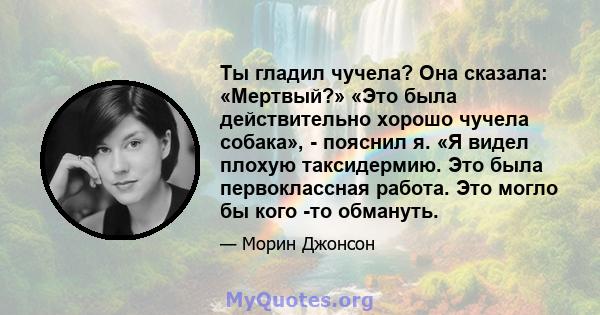 Ты гладил чучела? Она сказала: «Мертвый?» «Это была действительно хорошо чучела собака», - пояснил я. «Я видел плохую таксидермию. Это была первоклассная работа. Это могло бы кого -то обмануть.