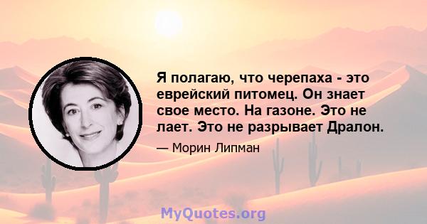 Я полагаю, что черепаха - это еврейский питомец. Он знает свое место. На газоне. Это не лает. Это не разрывает Дралон.