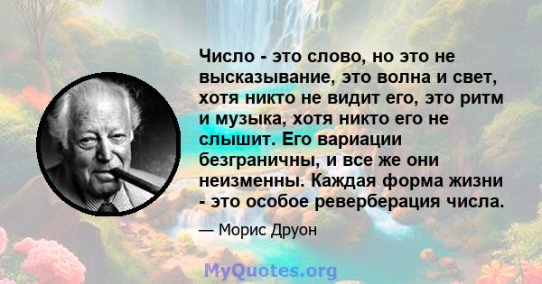 Число - это слово, но это не высказывание, это волна и свет, хотя никто не видит его, это ритм и музыка, хотя никто его не слышит. Его вариации безграничны, и все же они неизменны. Каждая форма жизни - это особое