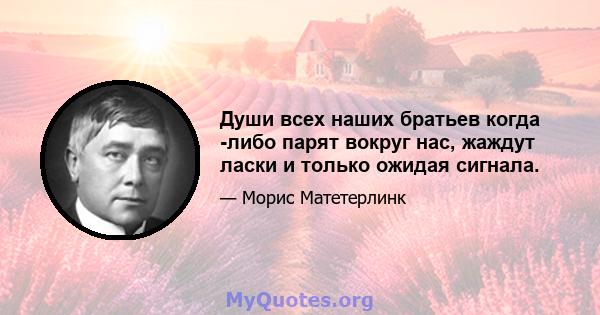 Души всех наших братьев когда -либо парят вокруг нас, жаждут ласки и только ожидая сигнала.