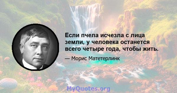 Если пчела исчезла с лица земли, у человека останется всего четыре года, чтобы жить.