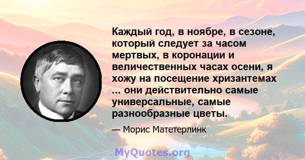 Каждый год, в ноябре, в сезоне, который следует за часом мертвых, в коронации и величественных часах осени, я хожу на посещение хризантемах ... они действительно самые универсальные, самые разнообразные цветы.