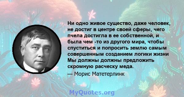 Ни одно живое существо, даже человек, не достиг в центре своей сферы, чего пчела достигла в ее собственной, и была чем -то из другого мира, чтобы спуститься и попросить землю самым совершенным созданием логики жизни Мы