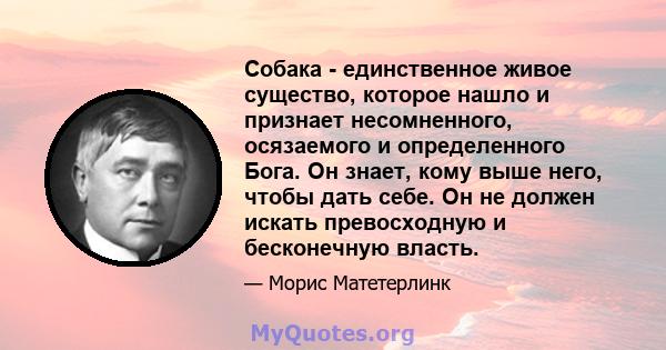 Собака - единственное живое существо, которое нашло и признает несомненного, осязаемого и определенного Бога. Он знает, кому выше него, чтобы дать себе. Он не должен искать превосходную и бесконечную власть.