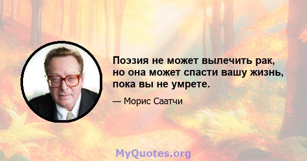 Поэзия не может вылечить рак, но она может спасти вашу жизнь, пока вы не умрете.